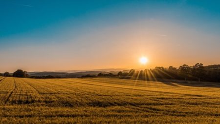 Photo of a field in the sun. Authored by Federico Respini, used under the UnSplash License.