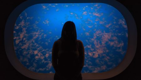 Silhouette of person standing in front of an aquarium.