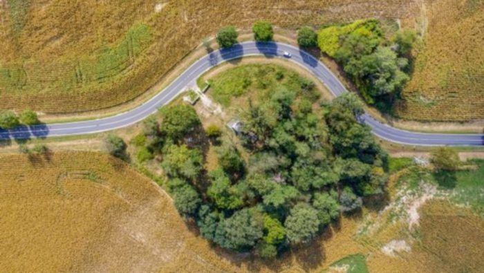 The path of a road curves dramatically to avoid a small wooded area.