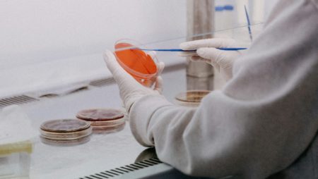 A scientist holding a petrie dish works in a laboratory.