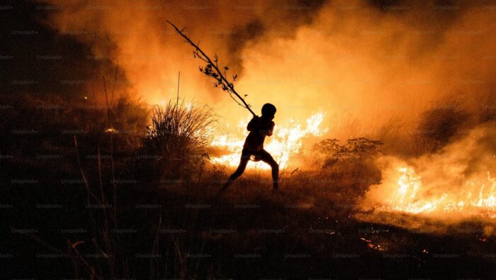 A child using a stick to stop spread of Bushfire in Delhi, India.
